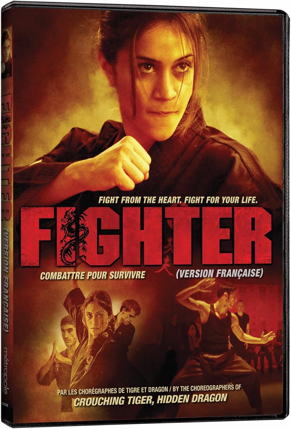 fighter dvd a vendre
