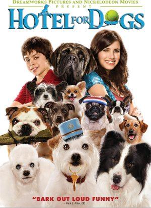 hotel for dogs dvd a vendre