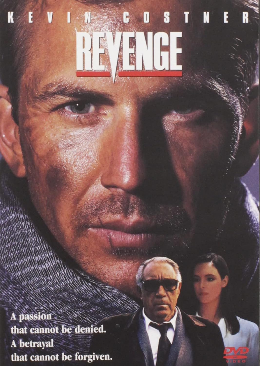 revenge dvd a vendre