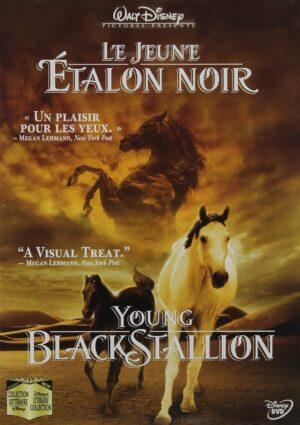 young black stallion dvd a vendre