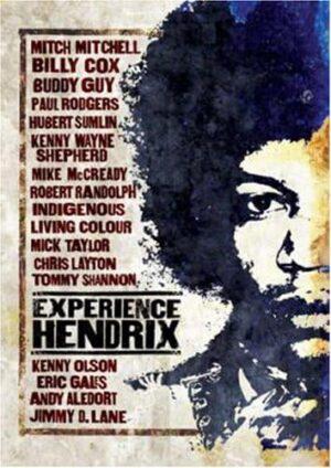 experience hendrix dvd a vendre