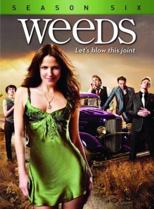 weeds season 6 dvd a vendre