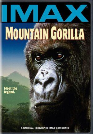 mountain gorilla dvd films à vendre