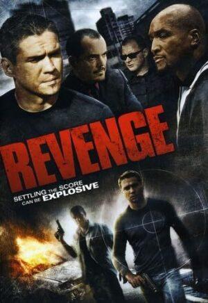 revenge dvd a vendre