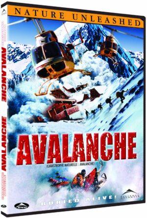 avalanche dvd a vendre
