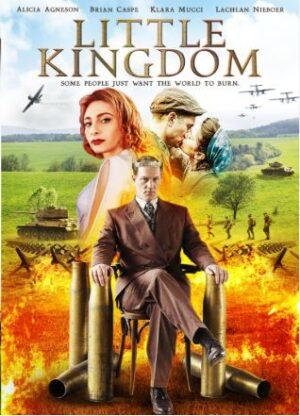 little kingdom dvd a vendre
