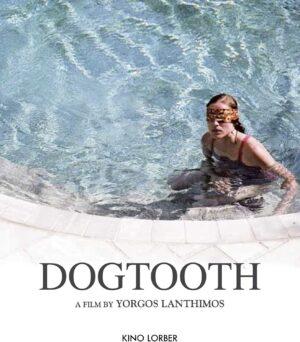 dogtooth br dvd films à vendre