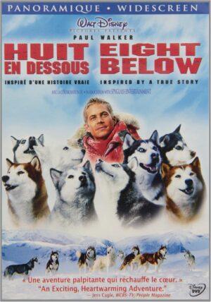 eight below dvd films à vendre