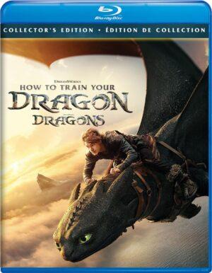 how to train your dragon br dvd films à louer