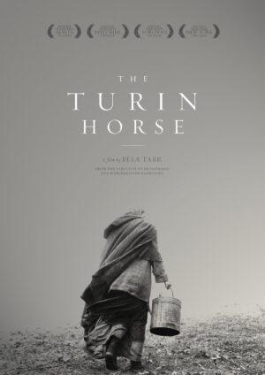the turin horse dvd films à vendre