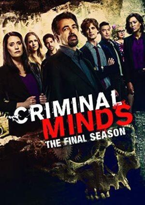 criminal minds dvd a vendre