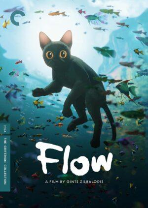 flow dvd films à louer