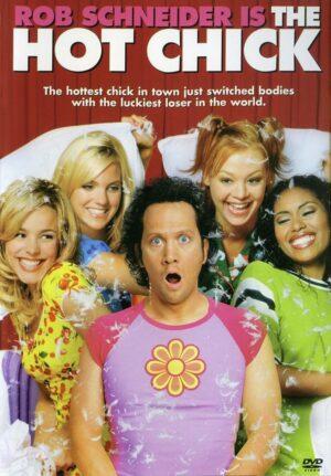 the hot chick dvd a vendre