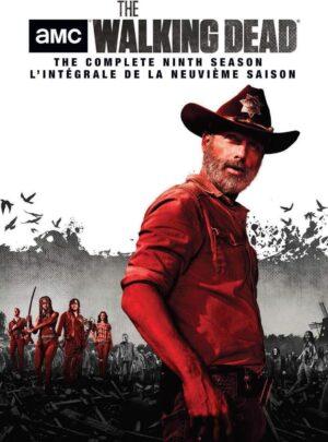the walking dead season 9 dvd a vendre