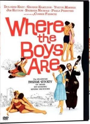where the boys are dvd a vendre