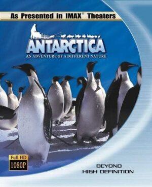 antarctica bluray a vendre