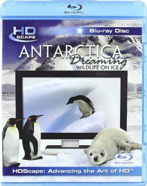 antartica dreaming bluray a vendre