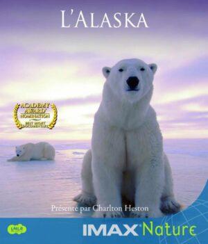 l'alaska bluray a vendre