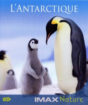 l'antarctique bluray a vendre