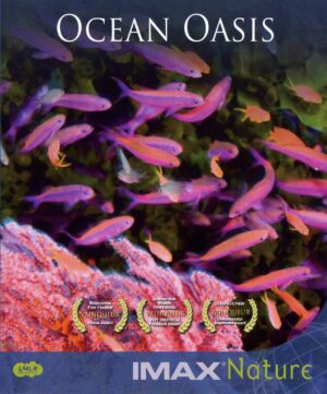 ocean oasis bluray a vendre