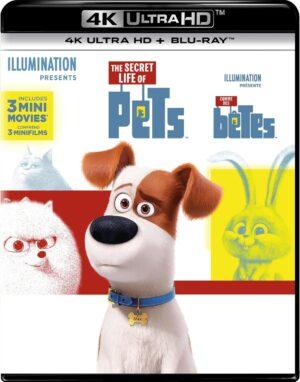 pets bluray 4k a vendre