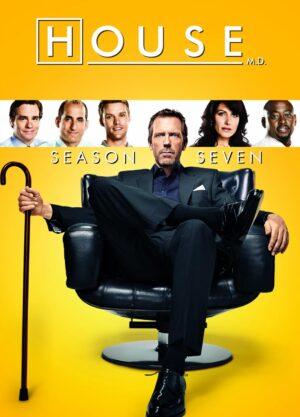 dr house season 7 dvd a vendre