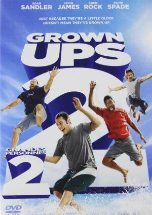 grown ups 2 dvd films à vendre