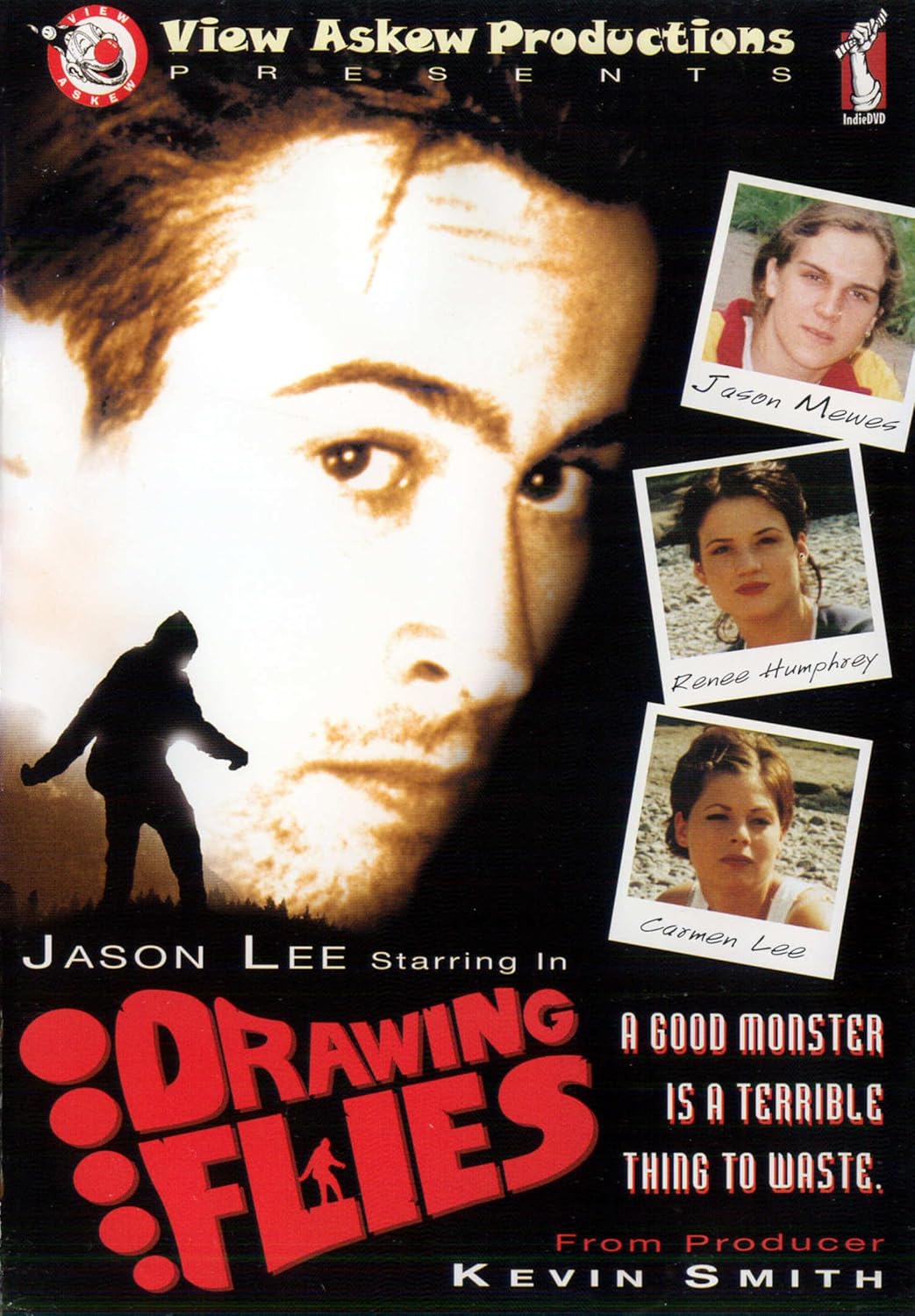 drawing flies dvd a vendre