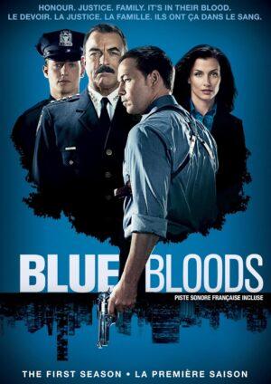 blue bloods season 1 dvd a vendre