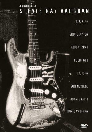 stevie ray vaughan dvd a vendre