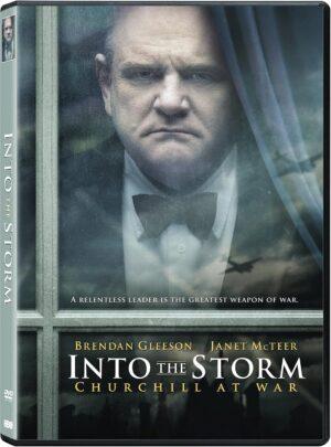 into the storm dvd films à vendre