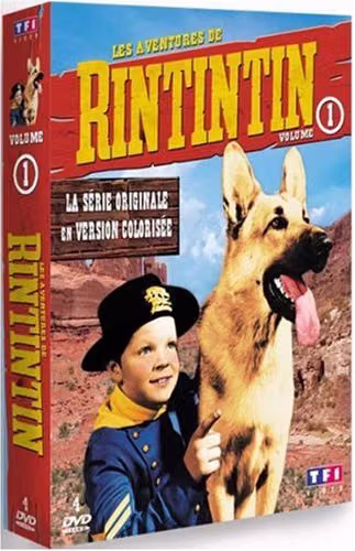 Les Aventures de Rintintin – série western avec Lee Aaker, James Brown et Rintintin – coffret 4 DVD