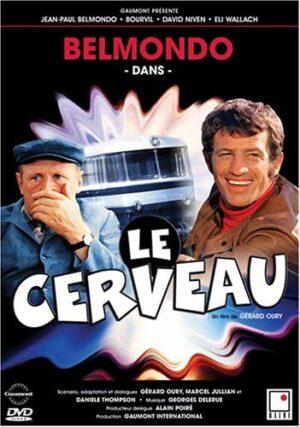 le cerveau dvd films à vendre