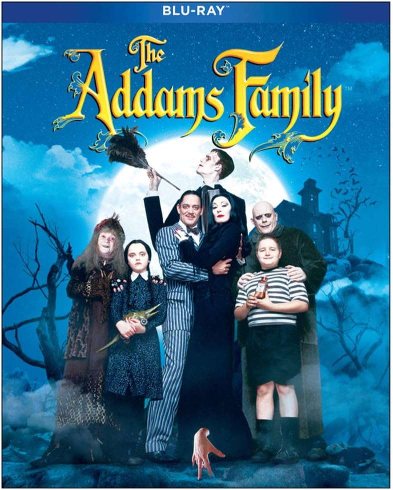 the addams family br dvd films à vendre